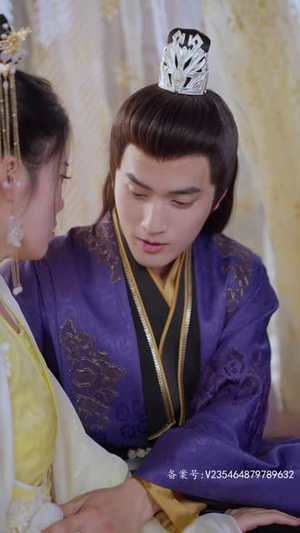 王妃复仇记（70集）短剧在线看