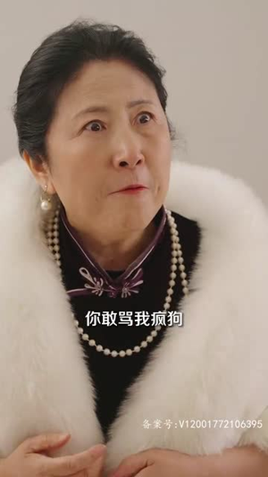 风起时见你（93集）精彩短剧热播中