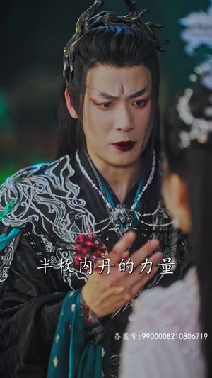 不负昭华（52集）在线观看全集