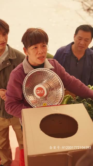 1987今夜不眠（79集）每日短剧分享