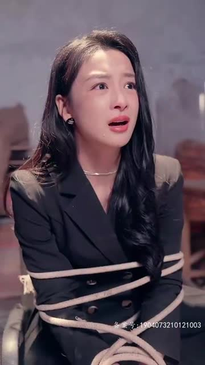 腾龙四海（83集）免费热门短剧