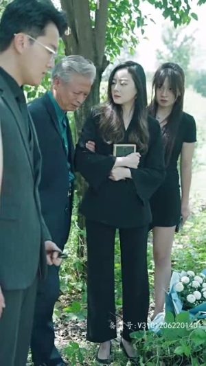 女主她一心只想搞事业（100集）热门爆款短剧