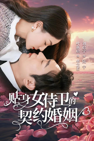 贴身女侍卫的契约婚姻（91集）完整版免费观看