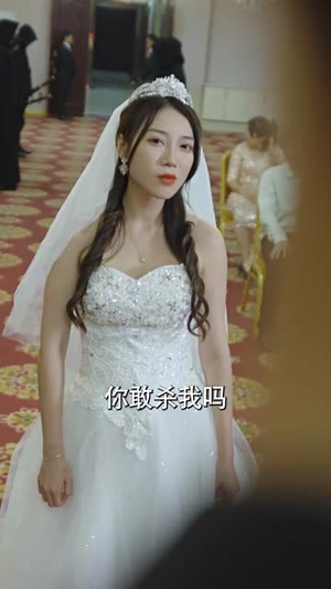 天策王（80集）番茄免费短剧