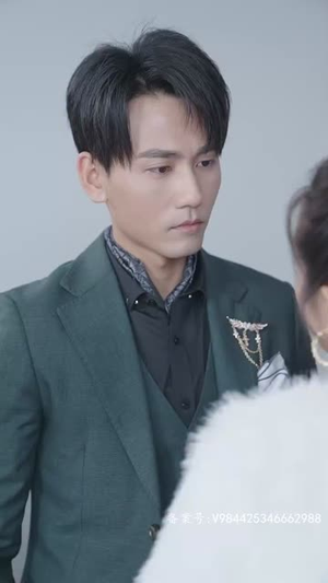 赘婿天子（91集）短剧介绍