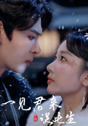 一见君来误此生（95集）免费看全网短剧