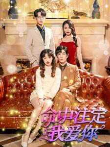 命中注定我爱你（99集）古装短剧热播