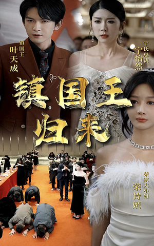 镇国王归来（95集）热门短剧推广
