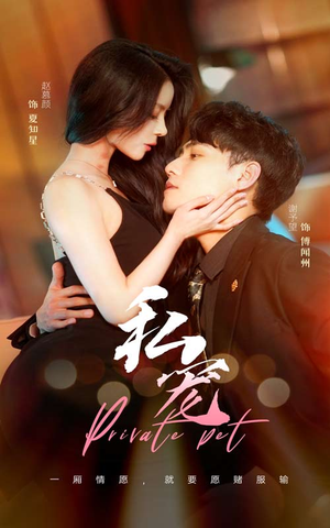 私宠（94集）全集我都看完了