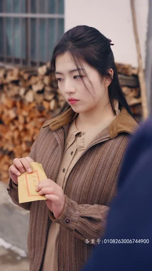 穿越七零糙汉老公双开门 99集高分佳作免费看