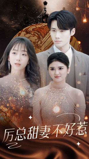 历总前妻不好惹（75集）怎么看全集