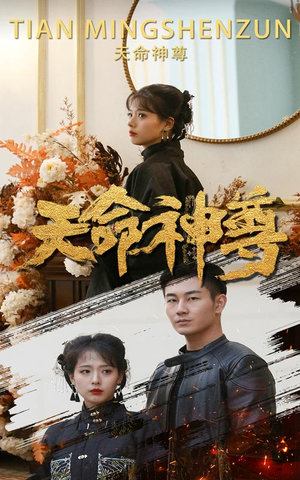 天命神尊（102集）精彩热门短剧