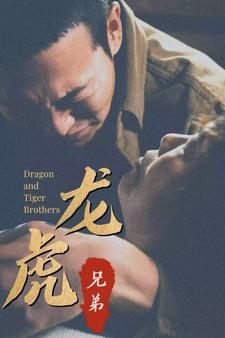 龙虎兄弟（80集）最新短剧推荐