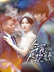 今宵尽欢颜（99集）我全都看完了