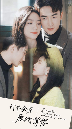 我不会在原地等你（48集）在线看免费版