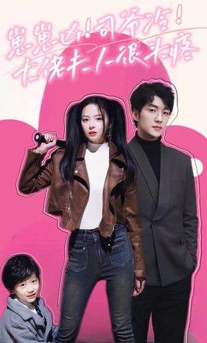 崽崽凶！司爷冷！大佬夫人很头疼（80集）短剧热播推荐