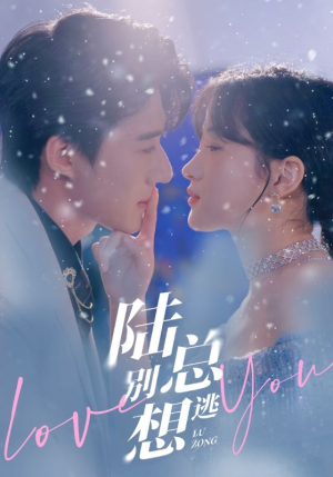 陆总别想逃（80集）全集一次看完