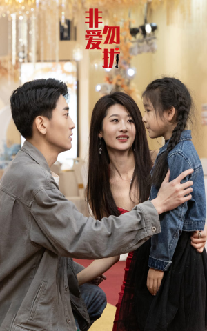 非爱勿扰（92集）短剧完整版免费