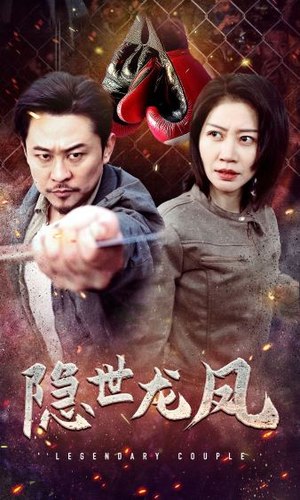 隐世龙凤（63集）口碑之选免费看