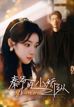 秦爷的小娇纵（96集）短剧精彩绝伦