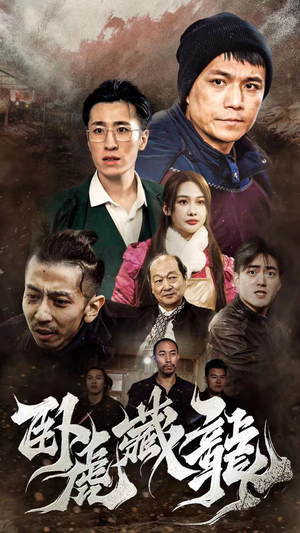 卧虎藏龙（92集）精彩热门短剧