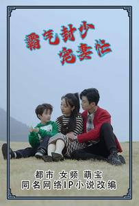 霸气封少宠妻忙（80集）短剧视频分享