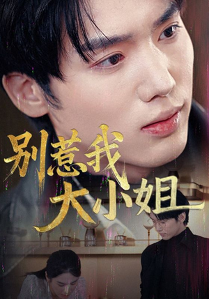 别惹我大小姐（40集）百度网盘资源