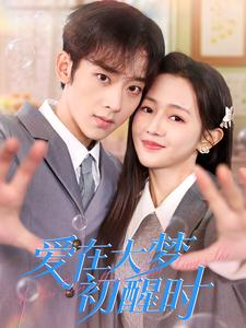 爱在大梦初醒时（100集）爆款短剧追不停