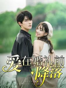 爱在婚礼前降落（50集）高分推荐免费看