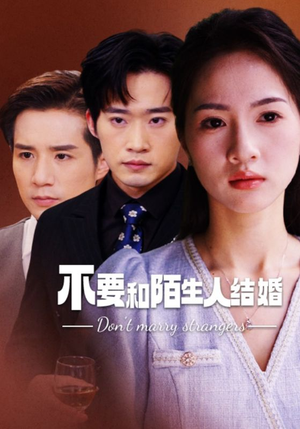 不要和陌生人结婚（90集）一起追短剧