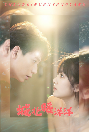 城北暖洋洋（60集）爆款短剧推荐
