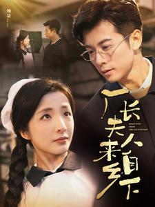 厂长夫人来自乡下（60集）短剧解说热门