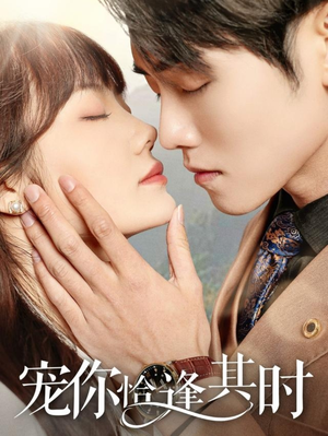 宠你恰逢其时（60集）视频在线看