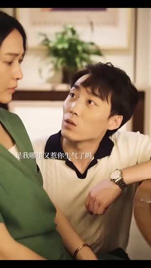 冲破婚姻的风暴（29集）免费看全网短剧