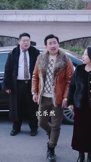 大年三十回娘家（30集）夸克网盘观看