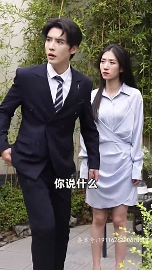 她藏起孕肚离婚，总裁全球疯找（66集）网络小短剧