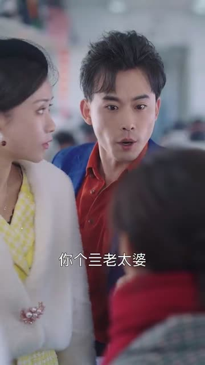 春运归途团圆年（40集）短视频追剧推荐