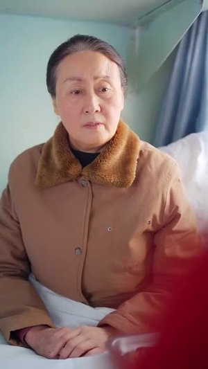 春运回家路（32集）贝贝短剧分享