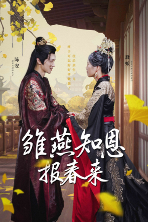 雏燕知恩报春来（36集）最热门短剧来了