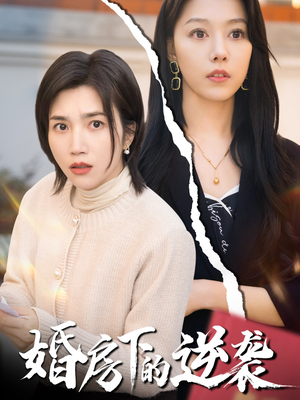 婚房下的逆袭（38集）快来看短剧