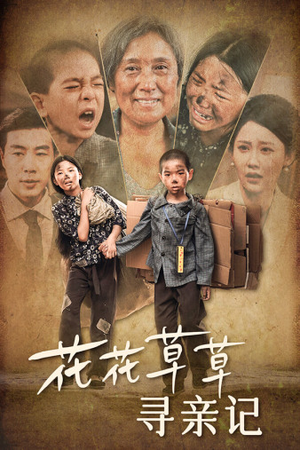 花花草草寻亲记（42集）这部短剧我爱了