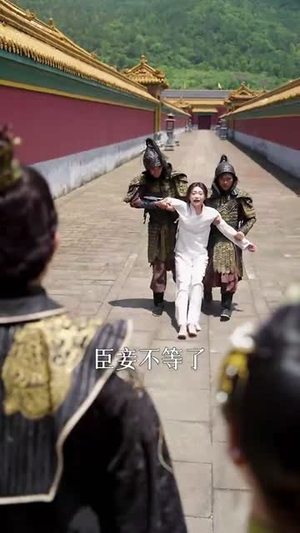 花开花落终有时（68集）上热门短剧