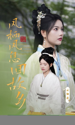 凤栖凤息回故乡（36集）追短剧关注我