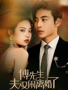 傅先生夫人又闹离婚了（80集）短剧前十排行榜