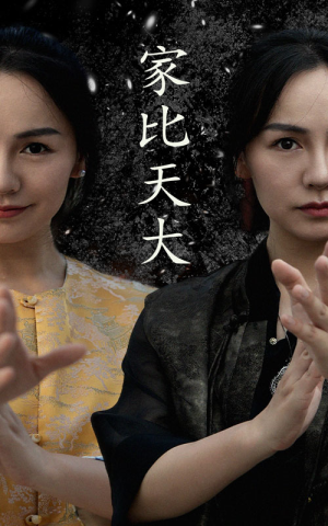 家比天大（63集）短剧完整版免费