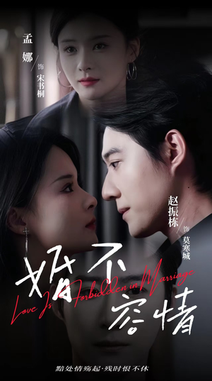 婚不容情（89集）一起追短剧