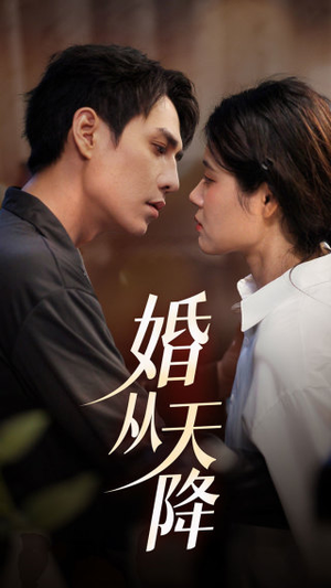 婚从天降（92集）短剧排行榜
