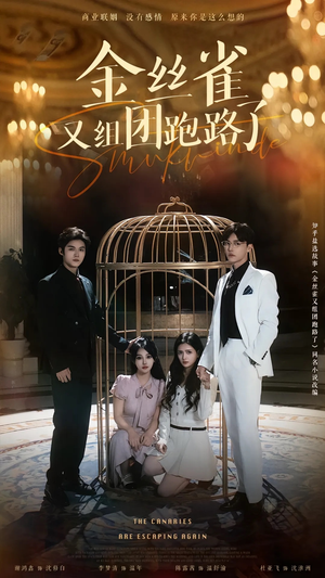 金丝雀又组团跑路了（长篇）独家内容免费看