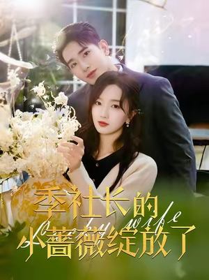 季社长的小蔷薇绽放了（60集）追短剧太上头了