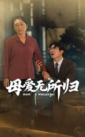 母爱无所归（33集）最新火爆短剧